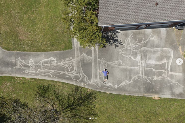 Photographer Uses A Pressure Washer To Create A Beautiful Mural On His Driveway